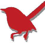 Redbird Studio Icon