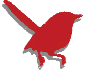 Redbird Studio Icon
